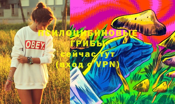 молекула духа Бердск