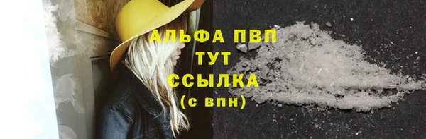 стаф Долгопрудный