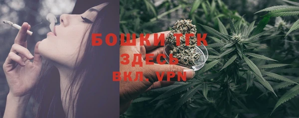 молекула духа Бердск