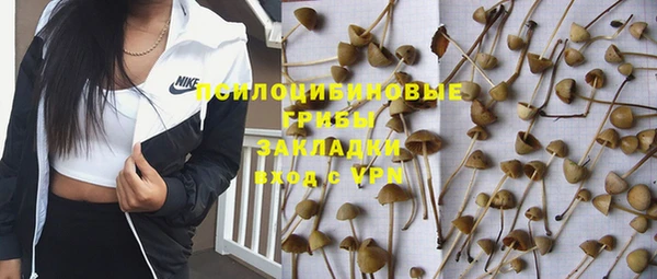 круглые Магас