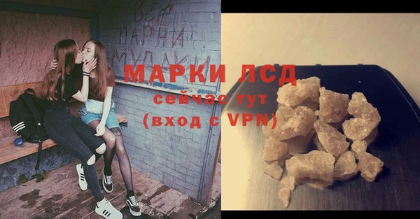 молекула духа Бердск