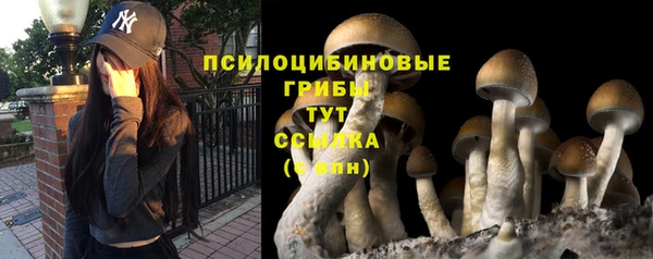 спиды Балахна