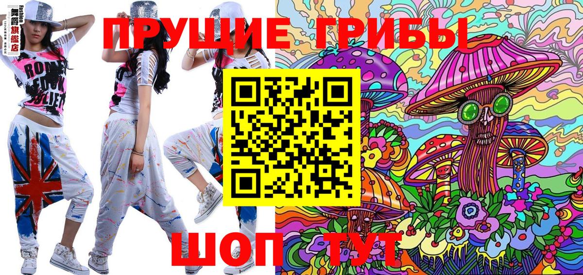 Галлюциногенные грибы прущие грибы  Звенигород 