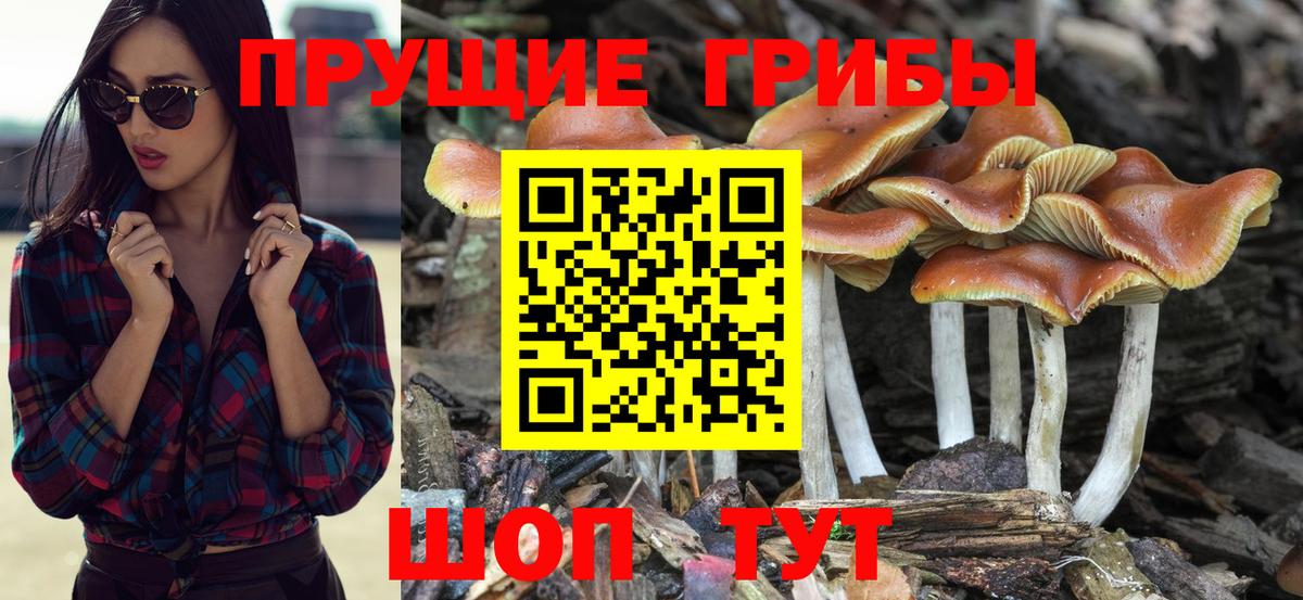 Codein Звенигород