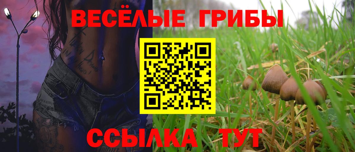 Псилоцибиновые грибы Cubensis Звенигород